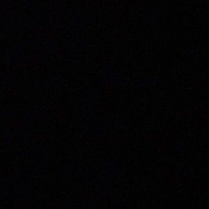 Meet your Posher, Darlene